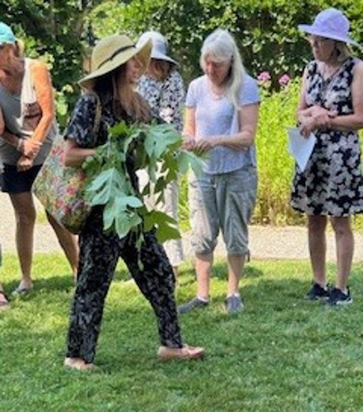 Welcome Spring! Plant Walk Garden Talk at the Beatrix Farrand Garden