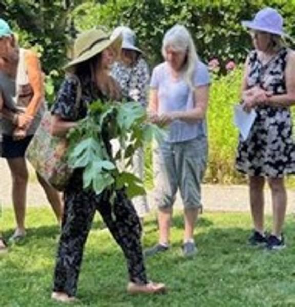 Welcome Spring! Plant Walk