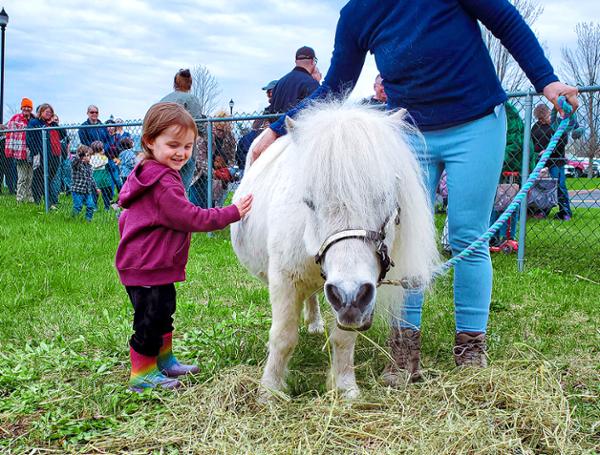 Mini Horse Mania at the FASNY Museum of Firefighting