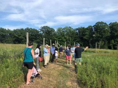 Spring Pollinator Walk at Olana