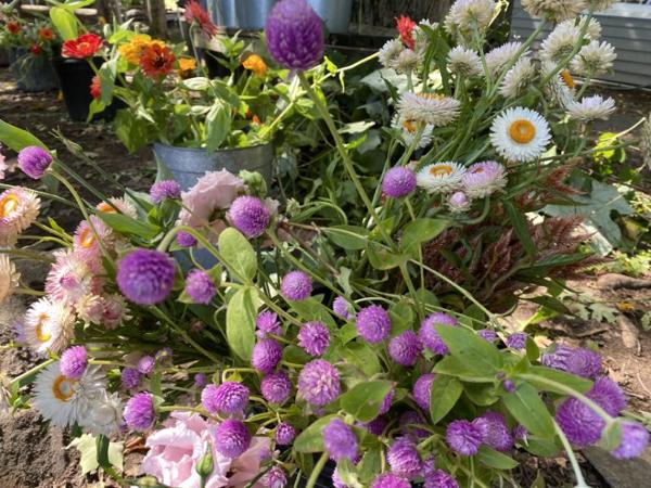 Floral Design Series: Easing into Fall with Wildflowers