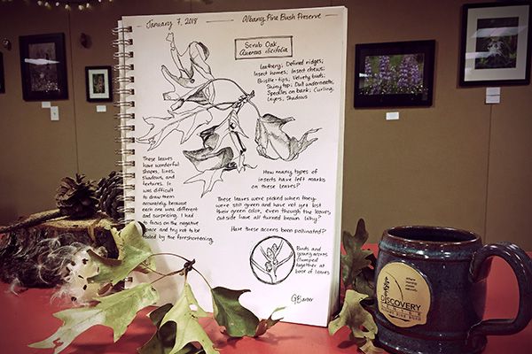 Winter’s Eve Nature Journaling: Focus on Poetry at Albany Pine Bush