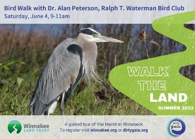 Bird Walk with Dr. Alan Peterson, Ralph T. Waterman Bird Club