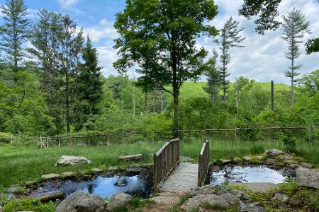 Westmoreland Sanctuary