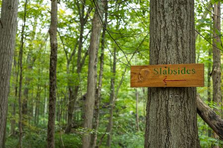 John Burroughs' Slabsides and Nature Sanctuary 6