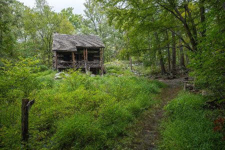 John Burroughs' Slabsides and Nature Sanctuary 5