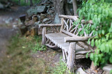 John Burroughs' Slabsides and Nature Sanctuary 3
