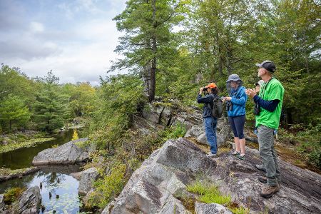 John Burroughs' Slabsides and Nature Sanctuary 5