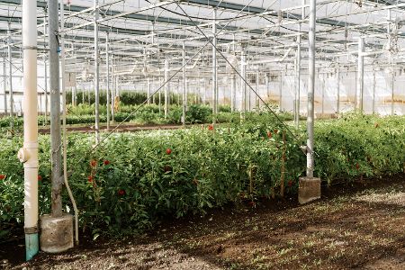 Stone Barns Center for Food & Agriculture  4