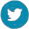 Twitter Icon